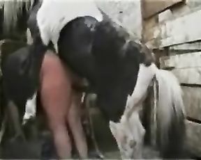 Лошади Трахают Баб Порно Видео Бесплатно